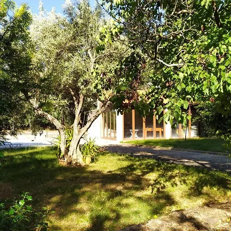 Casal Dos Zimbros * Corticos