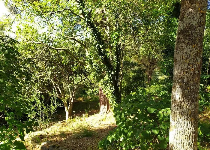 Дом отдыха Casal Dos Zimbros Corticos